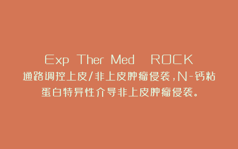 Exp Ther Med | ROCK通路调控上皮/非上皮肿瘤侵袭，N-钙粘蛋白特异性介导非上皮肿瘤侵袭。