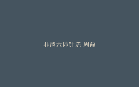 非遗六体针法（周磊）