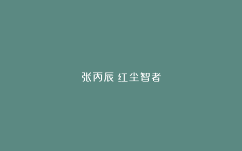张丙辰｜红尘智者