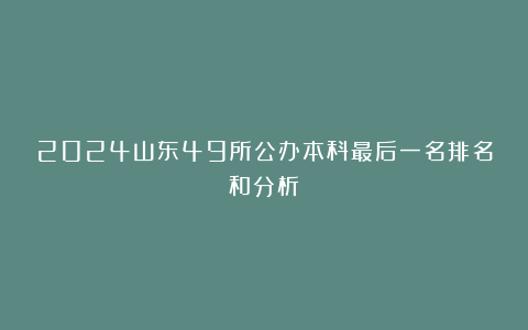 2024山东49所公办本科最后一名排名和分析