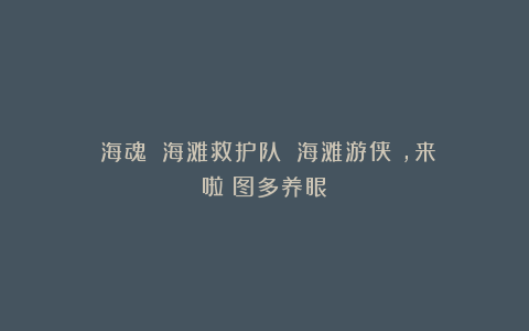 《海魂》《海滩救护队》《海滩游侠》，来啦！图多养眼！