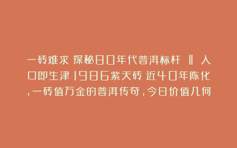 一砖难求！探秘80年代普洱标杆 ‖ 入口即生津！1986紫天砖：近40年陈化，一砖值万金的普洱传奇，今日价值几何？