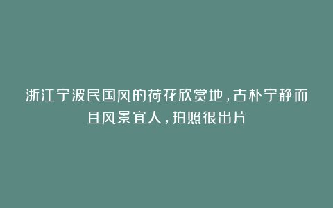 浙江宁波民国风的荷花欣赏地，古朴宁静而且风景宜人，拍照很出片