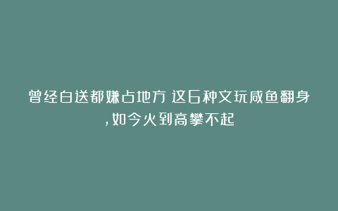 曾经白送都嫌占地方！这6种文玩咸鱼翻身，如今火到高攀不起！