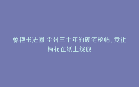 惊艳书法圈！尘封三十年的硬笔秘帖，竟让梅花在纸上绽放！