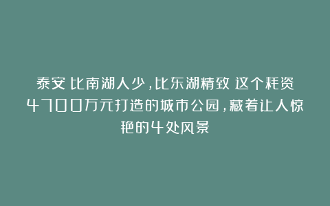 泰安：比南湖人少，比东湖精致！这个耗资4700万元打造的城市公园，藏着让人惊艳的4处风景