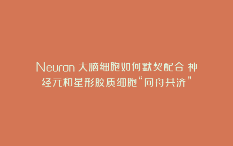 Neuron：大脑细胞如何默契配合？神经元和星形胶质细胞“同舟共济”