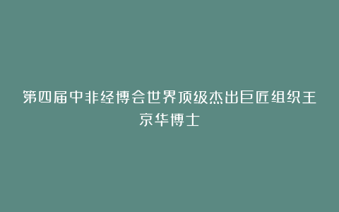 第四届中非经博会世界顶级杰出巨匠组织王京华博士