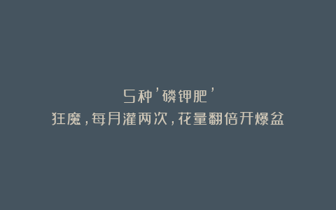 5种’磷钾肥’狂魔，每月灌两次，花量翻倍开爆盆！