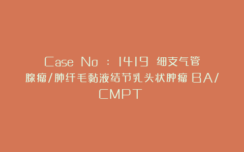 Case No : 1419 细支气管腺瘤/肺纤毛黏液结节乳头状肿瘤（BA/CMPT）‌