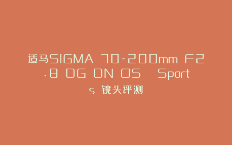 适马SIGMA 70-200mm F2.8 DG DN OS | Sports 镜头评测