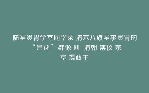 陆军贵胄学堂同学录：清末八旗军事贵胄的 “昙花” 群像（四）|清朝|溥仪|宗室|摄政王