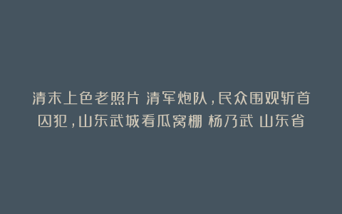 清末上色老照片：清军炮队，民众围观斩首囚犯，山东武城看瓜窝棚|杨乃武|山东省