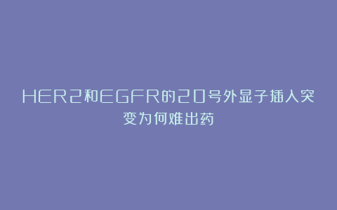 HER2和EGFR的20号外显子插入突变为何难出药？