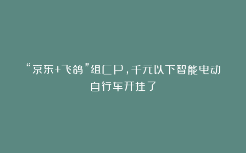 “京东+飞鸽”组CP，千元以下智能电动自行车开挂了