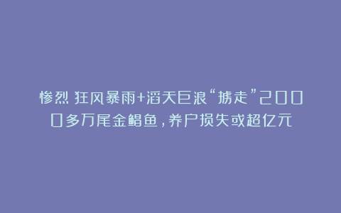 惨烈！狂风暴雨+滔天巨浪“掳走”2000多万尾金鲳鱼，养户损失或超亿元