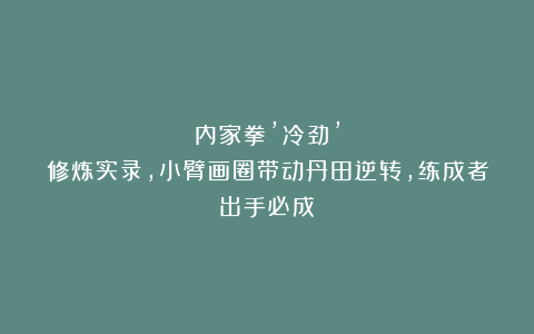 内家拳’冷劲’修炼实录，小臂画圈带动丹田逆转，练成者出手必成！