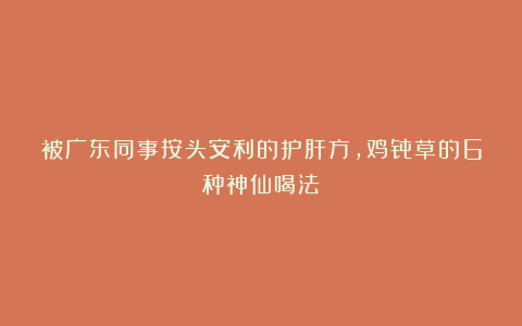 被广东同事按头安利的护肝方,鸡骨草的6种神仙喝法