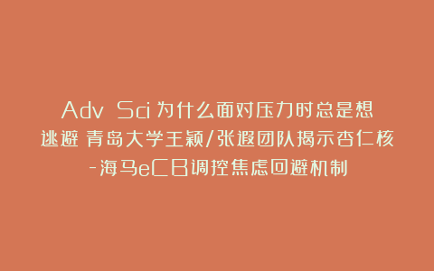 Adv Sci：为什么面对压力时总是想逃避？青岛大学王颖/张遐团队揭示杏仁核-海马eCB调控焦虑回避机制