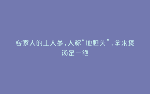 客家人的土人参，人称“地胆头”，拿来煲汤是一绝