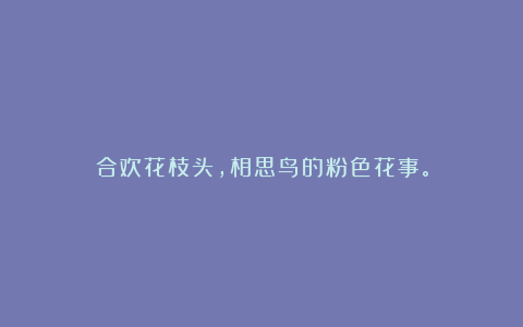 合欢花枝头，相思鸟的粉色花事。
