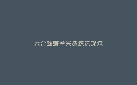 六合螳螂拳实战练法提炼