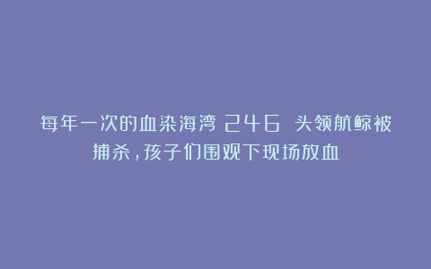 每年一次的血染海湾！246 头领航鲸被捕杀，孩子们围观下现场放血