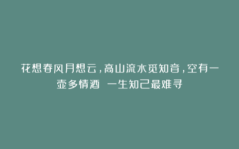 花想春风月想云，高山流水觅知音，空有一壶多情酒 一生知己最难寻