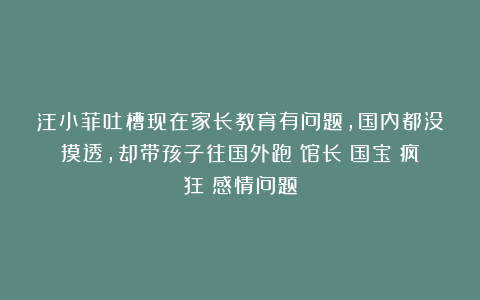 汪小菲吐槽现在家长教育有问题，国内都没摸透，却带孩子往国外跑|馆长|国宝|疯狂|感情问题