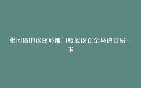 张同盛的这座砖雕门楼应该在全乌镇首屈一指