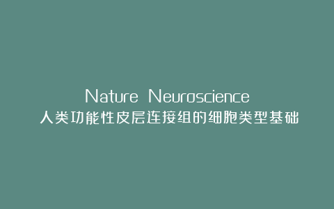 Nature Neuroscience：人类功能性皮层连接组的细胞类型基础