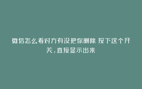 微信怎么看对方有没把你删除？按下这个开关，直接显示出来！