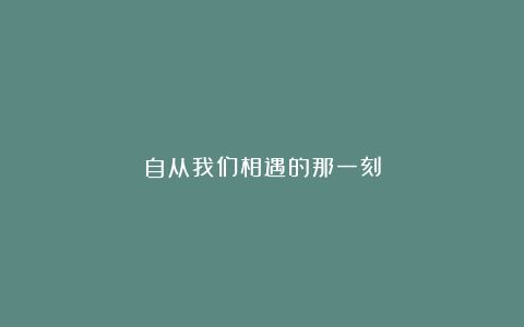 自从我们相遇的那一刻
