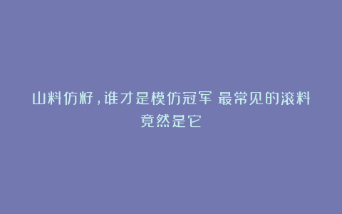 山料仿籽，谁才是模仿冠军？最常见的滚料竟然是它！