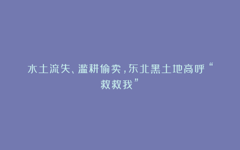 水土流失、滥耕偷卖，东北黑土地高呼：“救救我”！