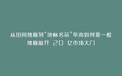 从田间辣椒到“地标名品”阜南如何靠一根辣椒敲开 20 亿市场大门？