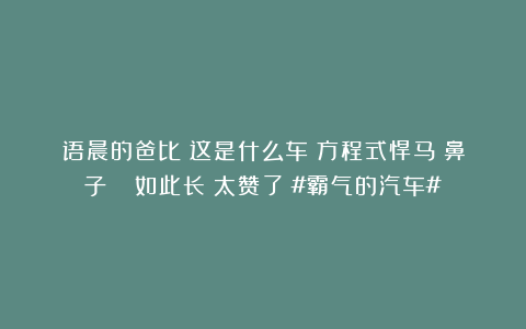 语晨的爸比：这是什么车？方程式悍马？鼻子👃如此长！太赞了！#霸气的汽车#