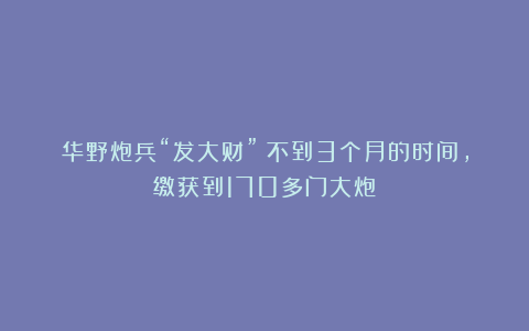 华野炮兵“发大财”！不到3个月的时间，缴获到170多门大炮