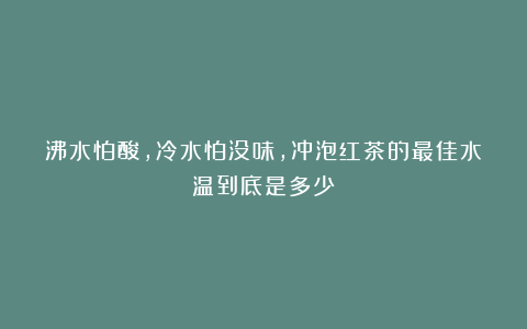 沸水怕酸，冷水怕没味，冲泡红茶的最佳水温到底是多少？