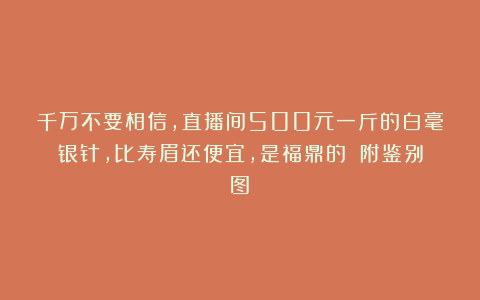 千万不要相信，直播间500元一斤的白毫银针，比寿眉还便宜，是福鼎的！（附鉴别图）