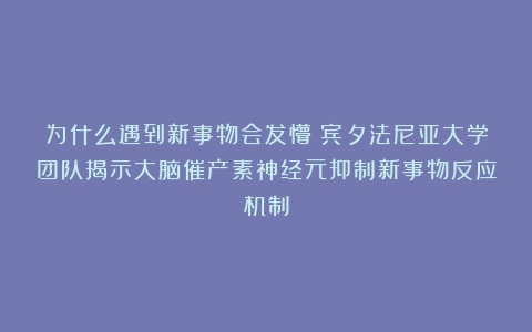 为什么遇到新事物会发懵？宾夕法尼亚大学团队揭示大脑催产素神经元抑制新事物反应机制