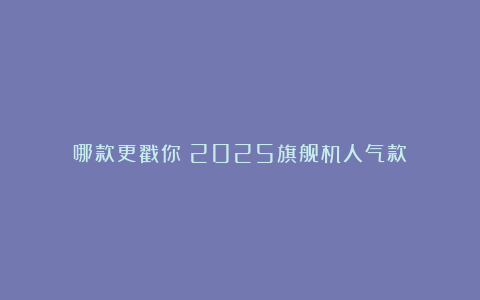 哪款更戳你？2025旗舰机人气款