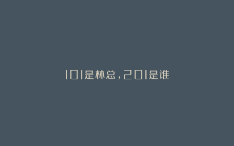 101是林总，201是谁？
