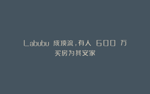 Labubu 成顶流，有人 600 万买房为其安家