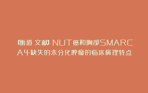 【衡道丨文献】NUT癌和胸部SMARCA4缺失的未分化肿瘤的临床病理特点