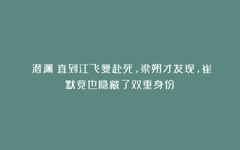 《潜渊》直到江飞曼赴死，梁朔才发现，崔默竟也隐藏了双重身份