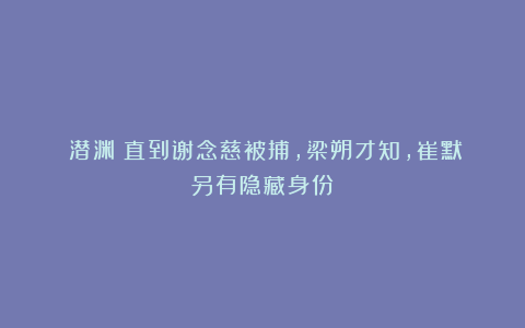 《潜渊》直到谢念慈被捕，梁朔才知，崔默另有隐藏身份