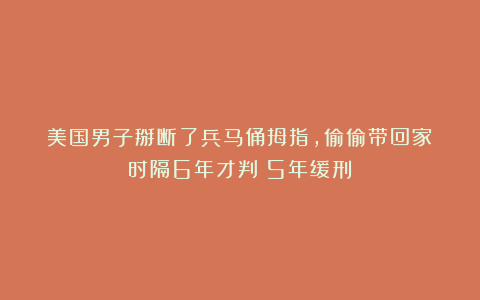 美国男子掰断了兵马俑拇指，偷偷带回家！时隔6年才判：5年缓刑