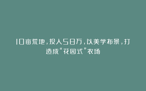 10亩荒地，投入58万，以美学布景，打造成“花园式”农场！
