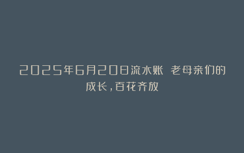 2025年6月20日流水账 老母亲们的成长，百花齐放